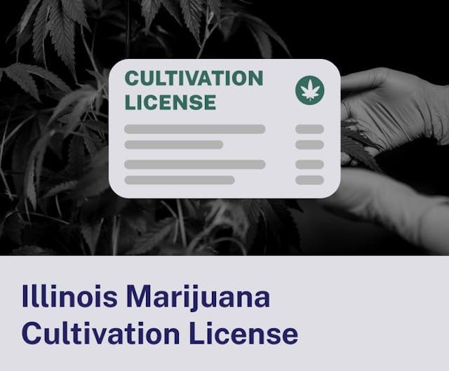 Illinois Marijuana Cultivation License