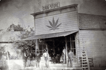Illinois cannabis history