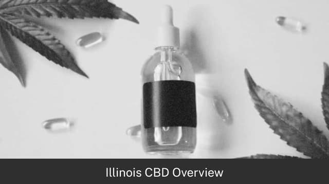Is CBD Oil Legal in Illinois?