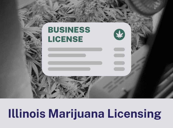 Illinois Marijuana Licensing